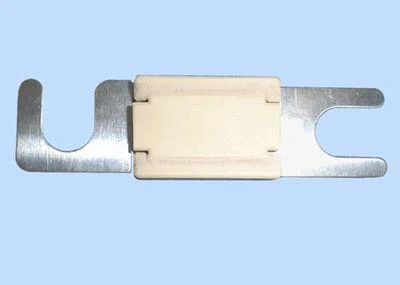 ASA ANL Zekering 80A