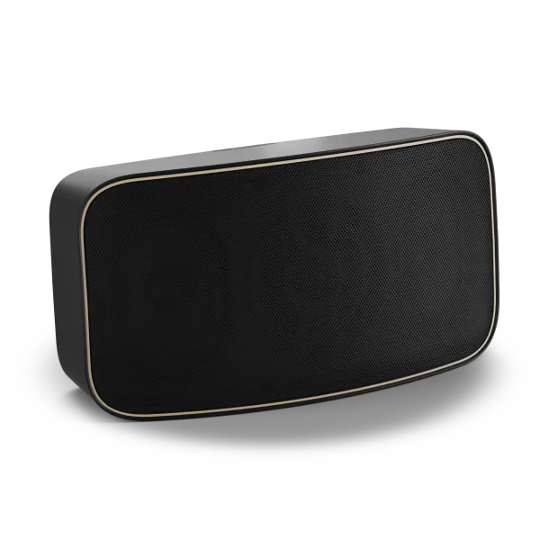 Dali GARDIAN OW 6 BLACK buiten luidspreker, prijs per stuk, afname per twee