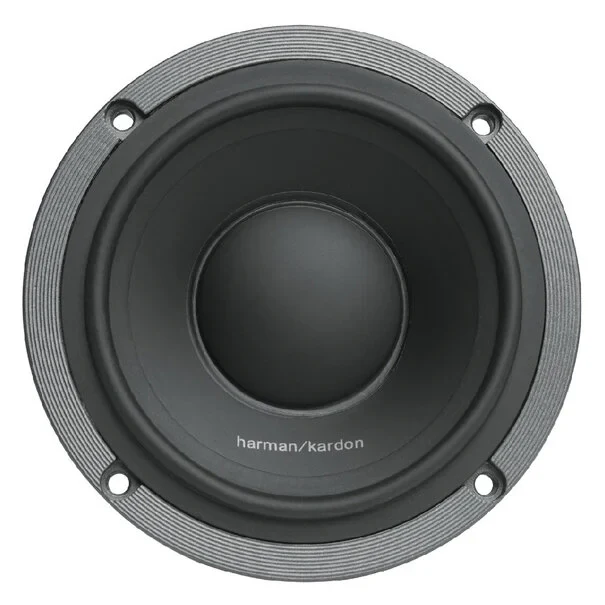 Harman Kardon Flow 300S Midrange Woofer - Image 2