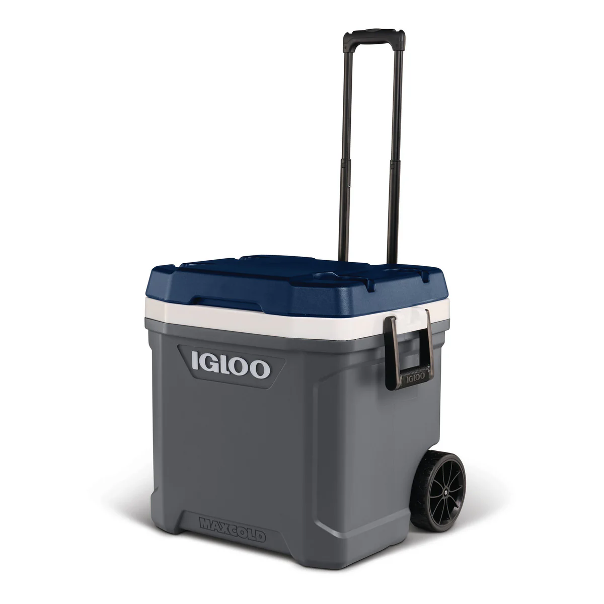 Igloo MC62R Maxcold 62R passieve koelbox - Image 3