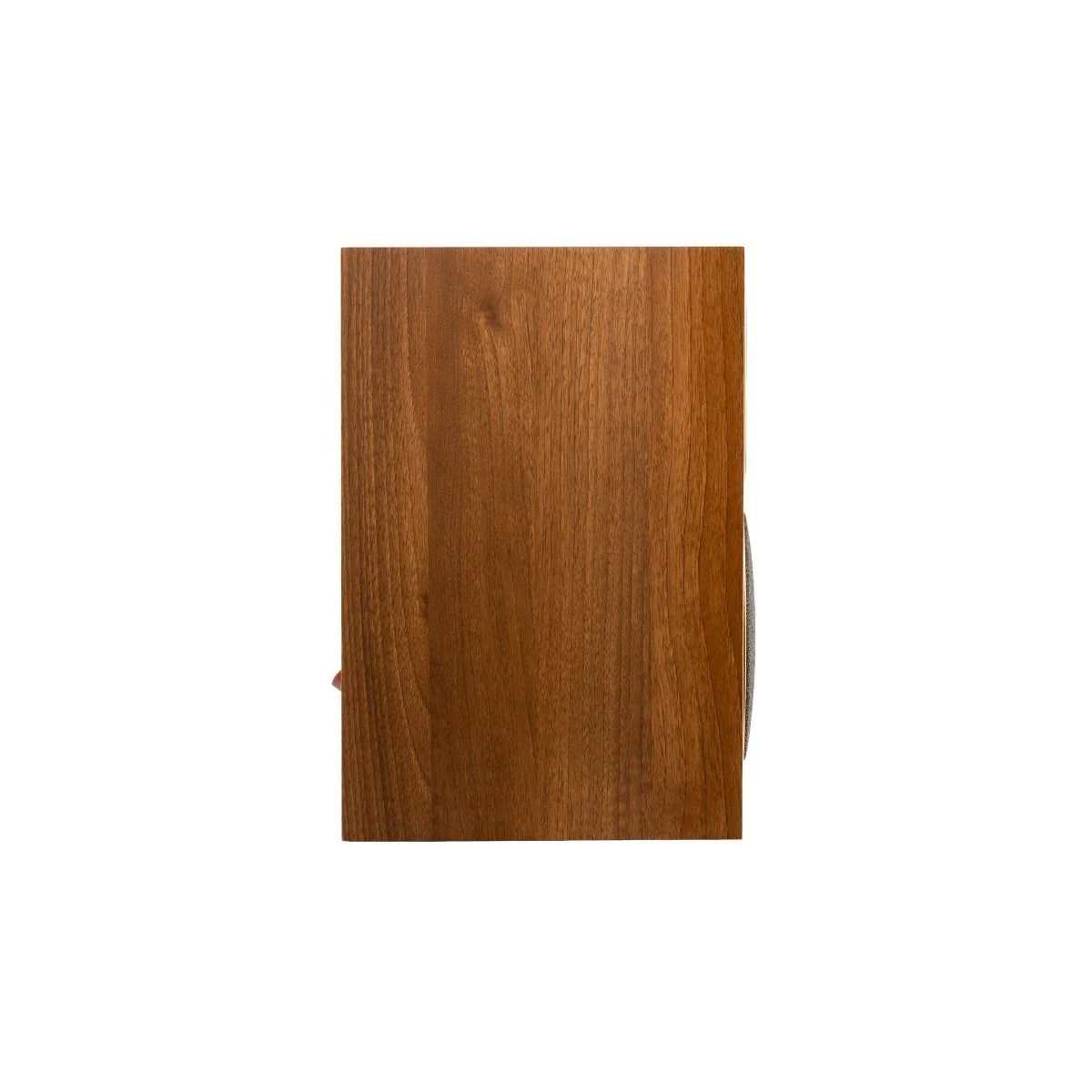 Martin Logan Motion Foundation B1 wa Boekenplank monitor luidspreker - Image 3