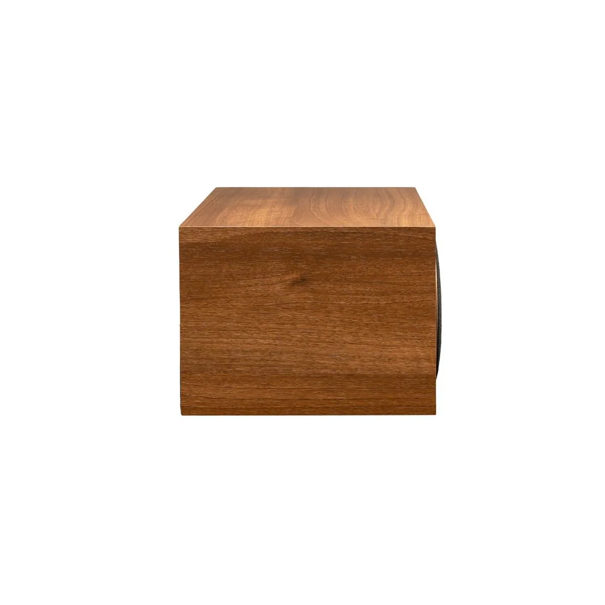 Martin Logan Motion Foundation C1 wa Center luidspreker - Image 4