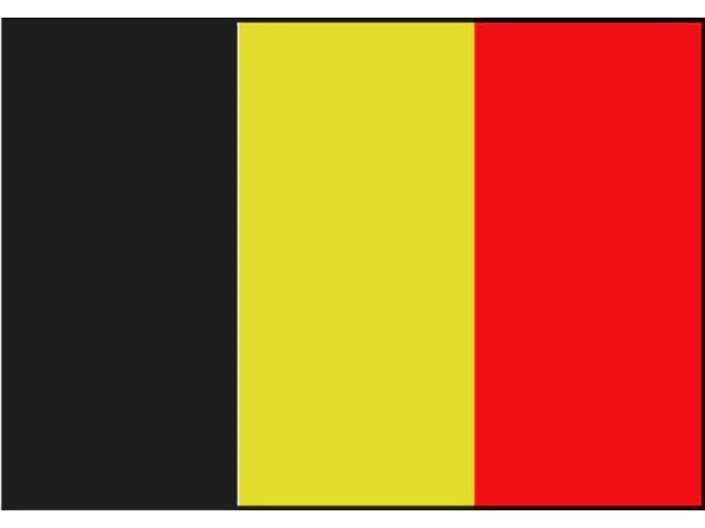 Miniatuur 1