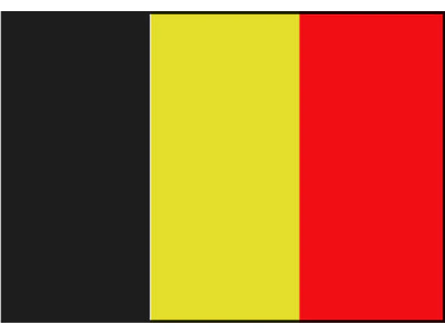 Talamex Vlag België 20x30 cm