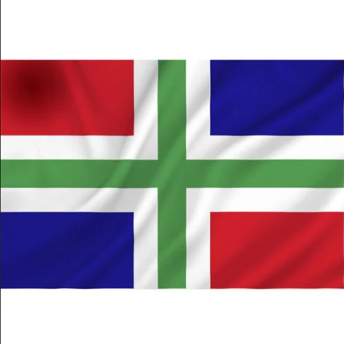 Talamex Vlag Groningen 20x30 cm