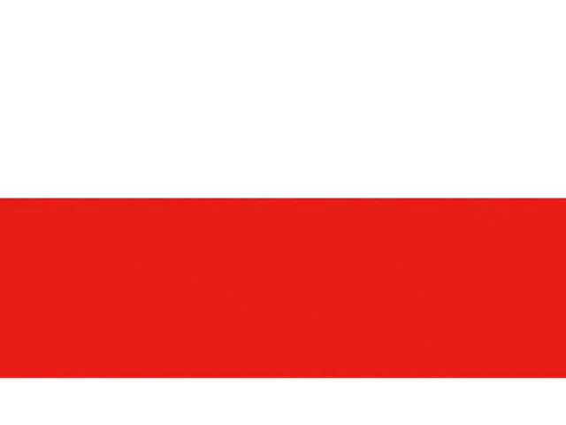 Talamex Vlag Polen 20x30 cm