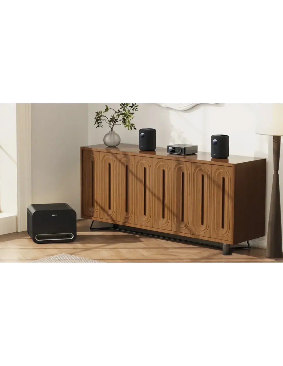 Wiim Sub Pro zwart actieve draadloze subwoofer - Image 4